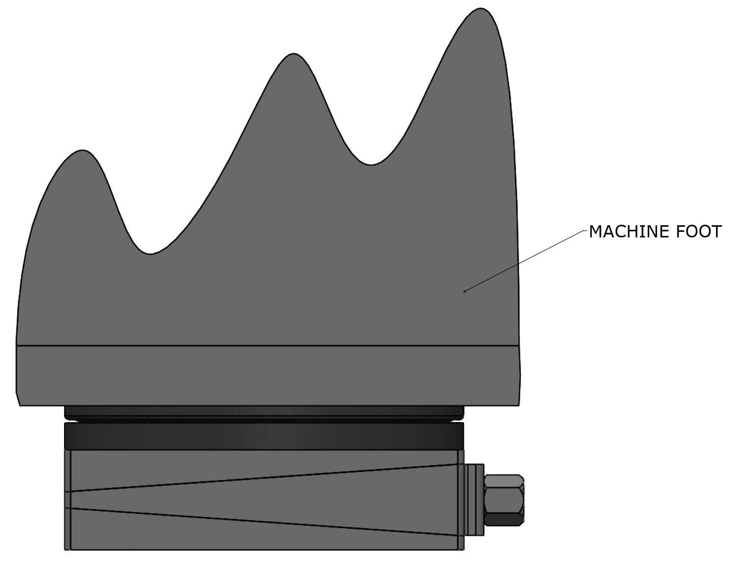 DFSP1-FG-DG - Image 4